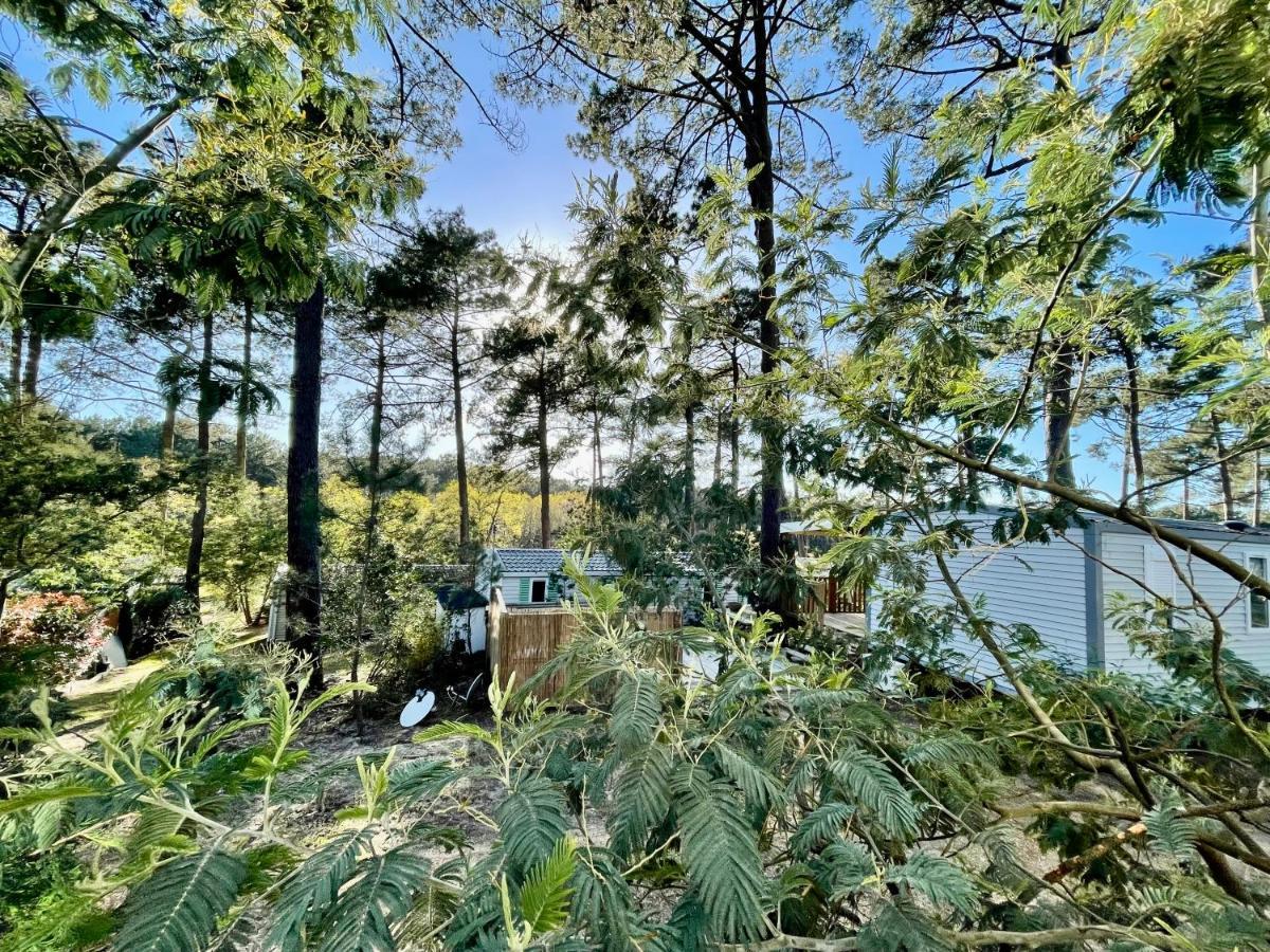 Tiny House Famille Nature Cap Ferret Claouey Ngoại thất bức ảnh
