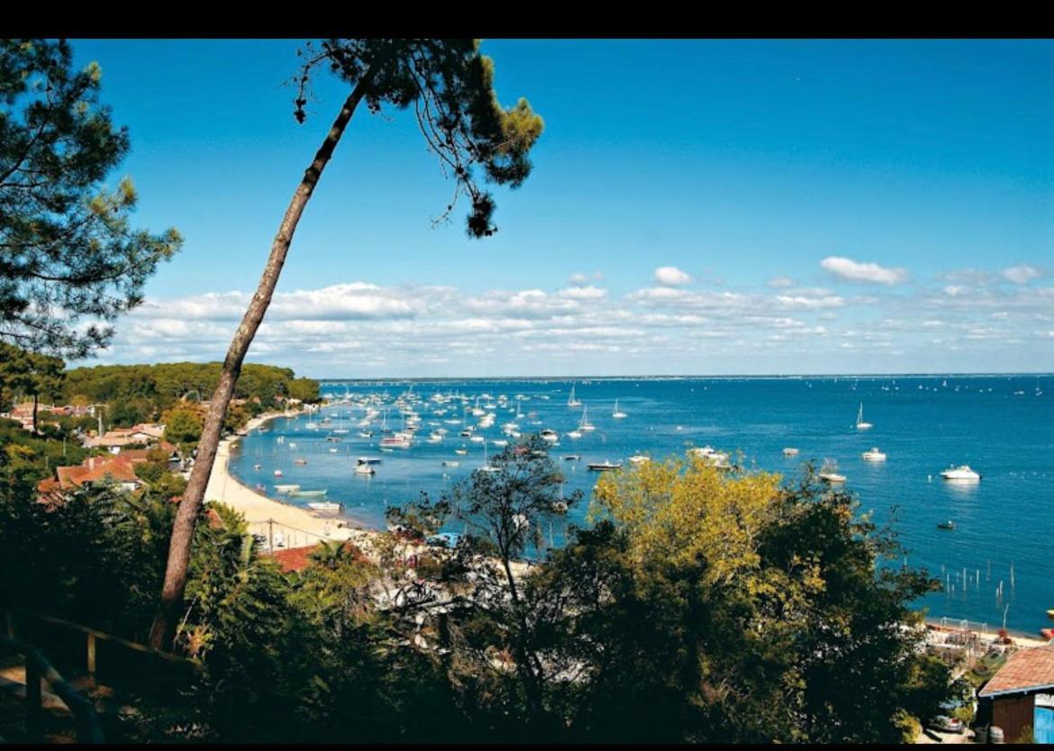 Tiny House Famille Nature Cap Ferret Claouey Ngoại thất bức ảnh
