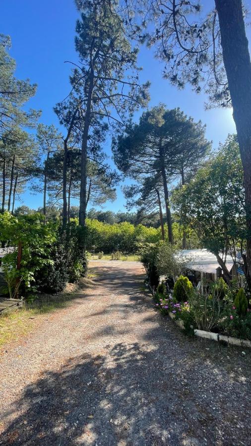 Tiny House Famille Nature Cap Ferret Claouey Ngoại thất bức ảnh